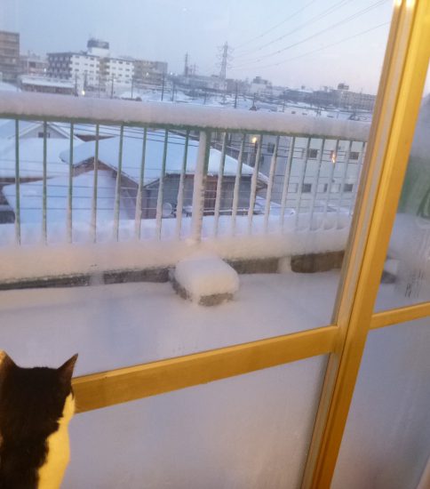 関東旅2018.4 雪