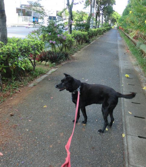 台風