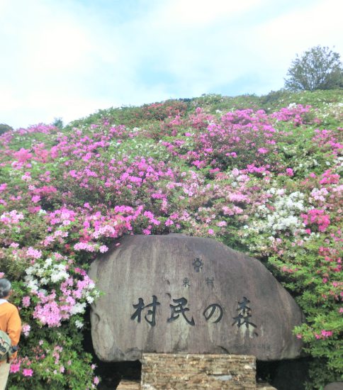 つつじ祭り